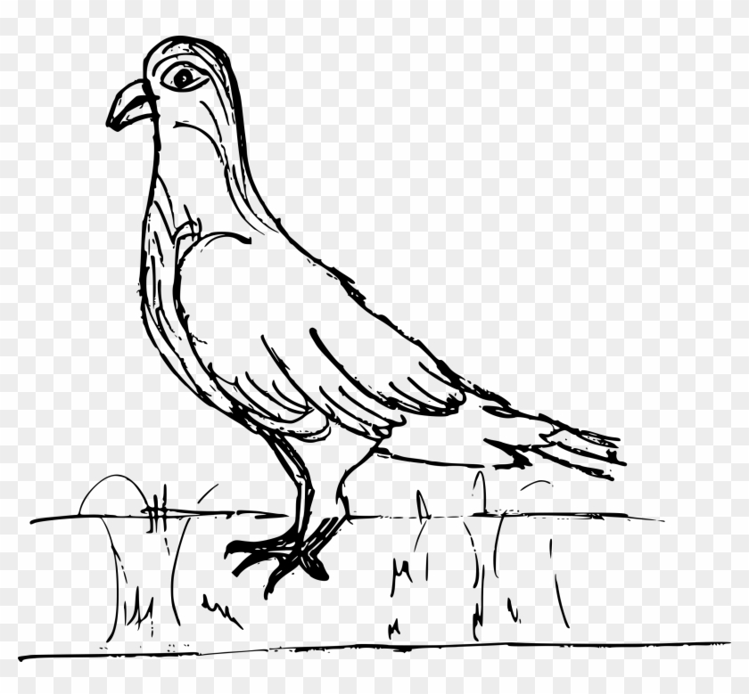 Free Download - Sketch Clipart #210296