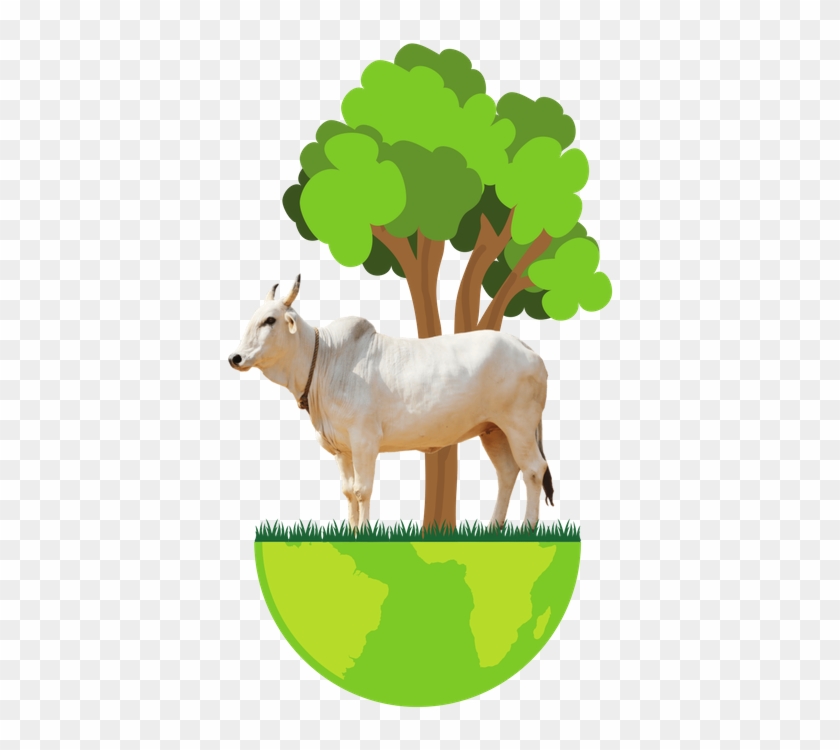 Feature Image - Diseño De Un Camping Clipart #210387