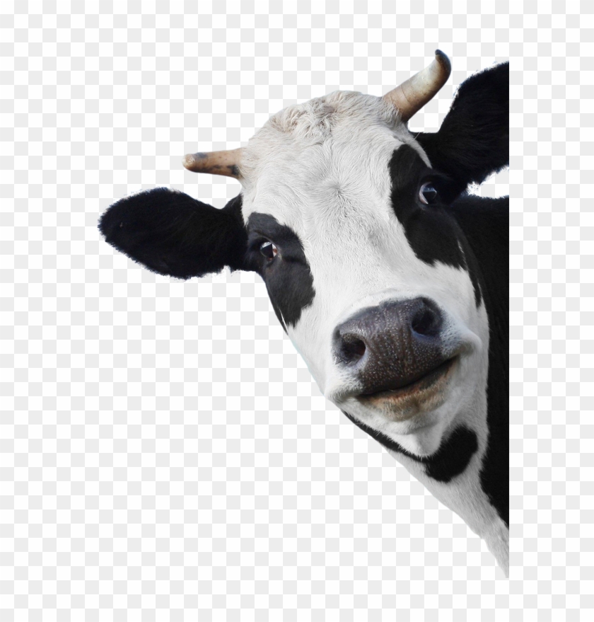 Sunday 28 April - Hallo I Bims 1 Q Clipart #210461