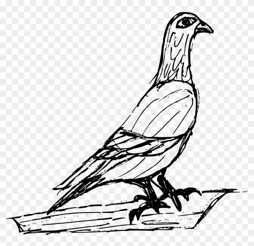 Free Download - Sketch Clipart