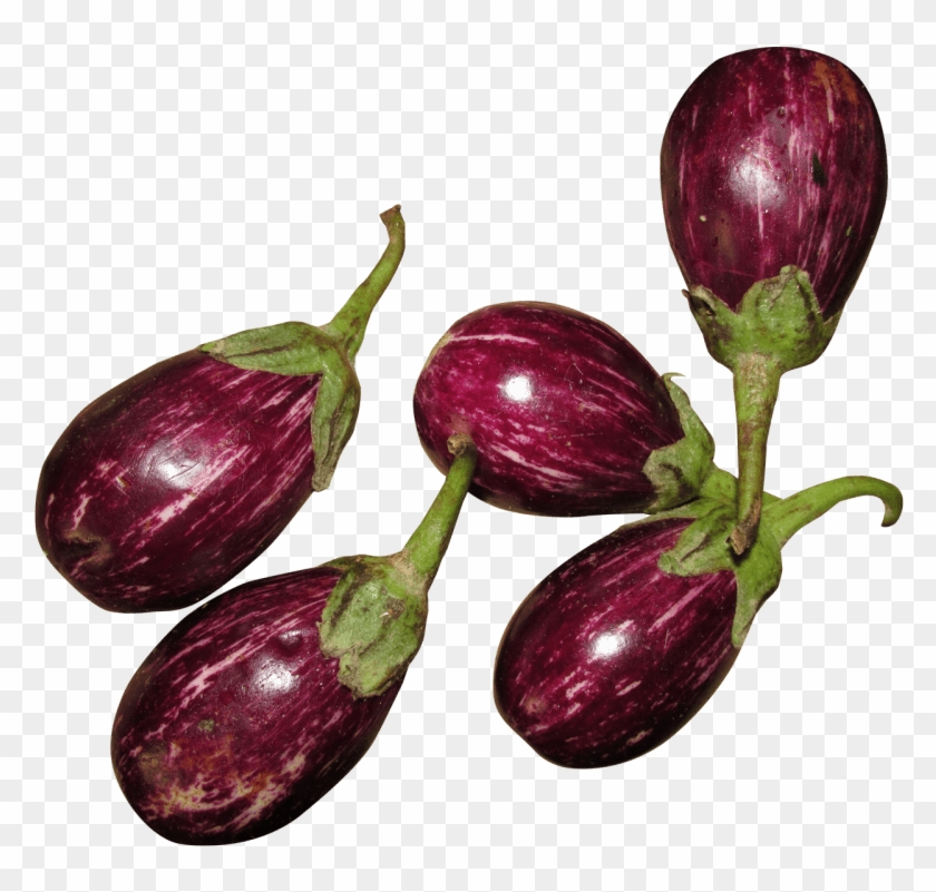 Free Png Download Fresh Brinjal Png Images Background - Free Images Of Brinjal Clipart