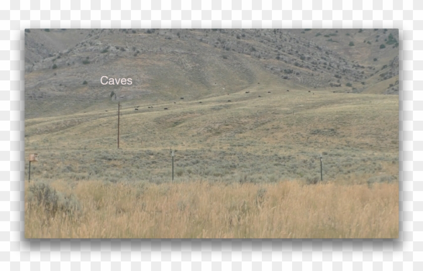 Stock Were Settled Here Yesterday Morning-and Left - Grassland Clipart #210652