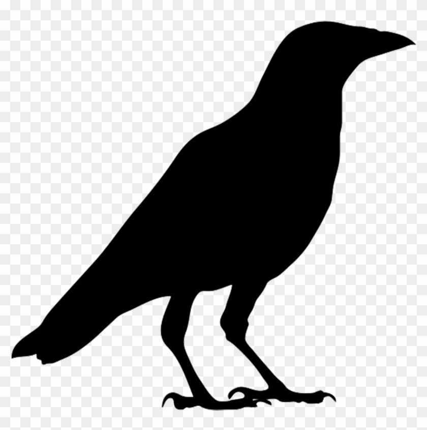 Clipart Bird Silhouettes Crow Tiny - Outline Images Of Crow - Png Download