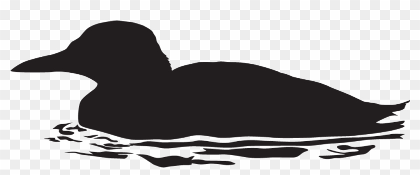 Pigeon Guillemot - Duck Clipart #210821