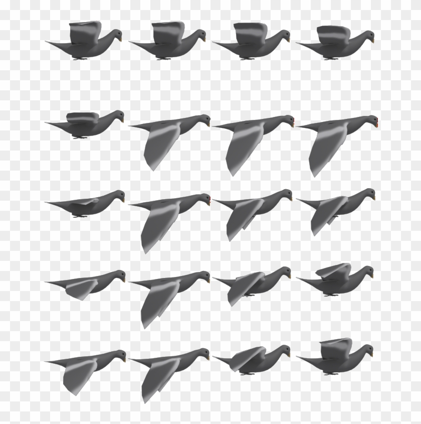 Pigeon - Stock Dove Clipart