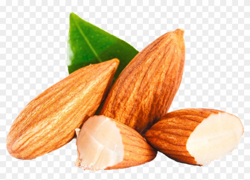Almond Png Clipart - Almond Png Transparent Png