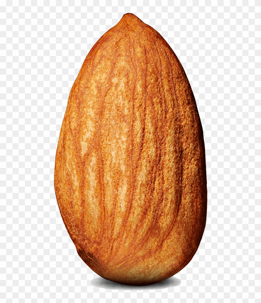 Almond Single - Fire Emblem Alm Nut Clipart #210907