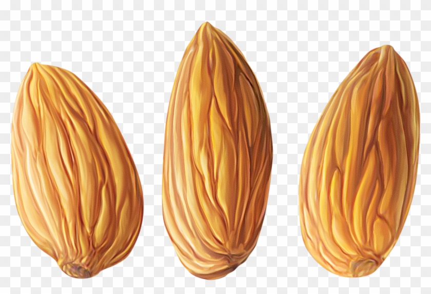 Almond Png - Миндаль На Прозрачном Фоне Clipart #211050