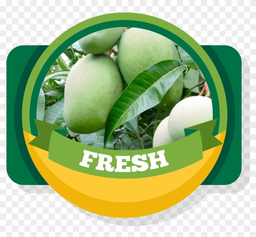 Aroma Of Our Fruit - Freshness Clipart #211137