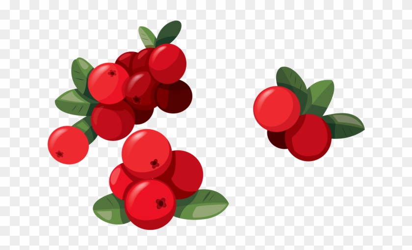 Red Fruit Clipart Png - Cranberry Juice Clip Art Transparent Png