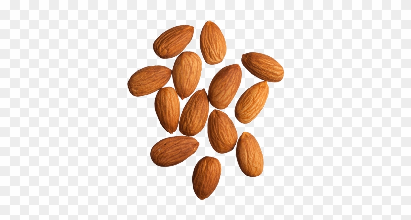 Almonds Png - 9 Orange Seeds Png Clipart #211200