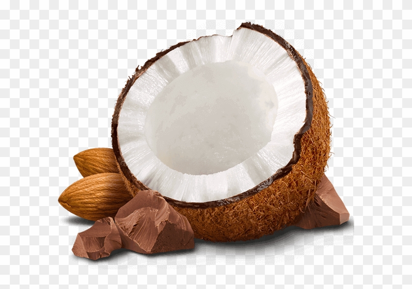 Png Almond - Chocolate Coconut Almond Png Clipart #211251