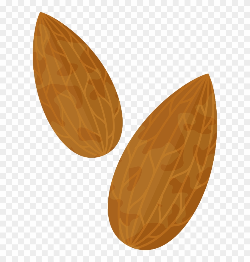 Almond Png Clipart Image - Transparent Almond Clip Art