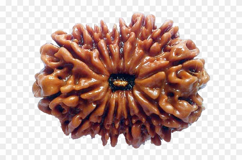 Notes - Carving Clipart