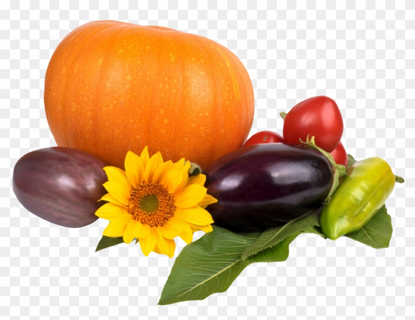 Pumpkin Tomato Pepper Eggplant Png Image - Eggplant Clipart #211345