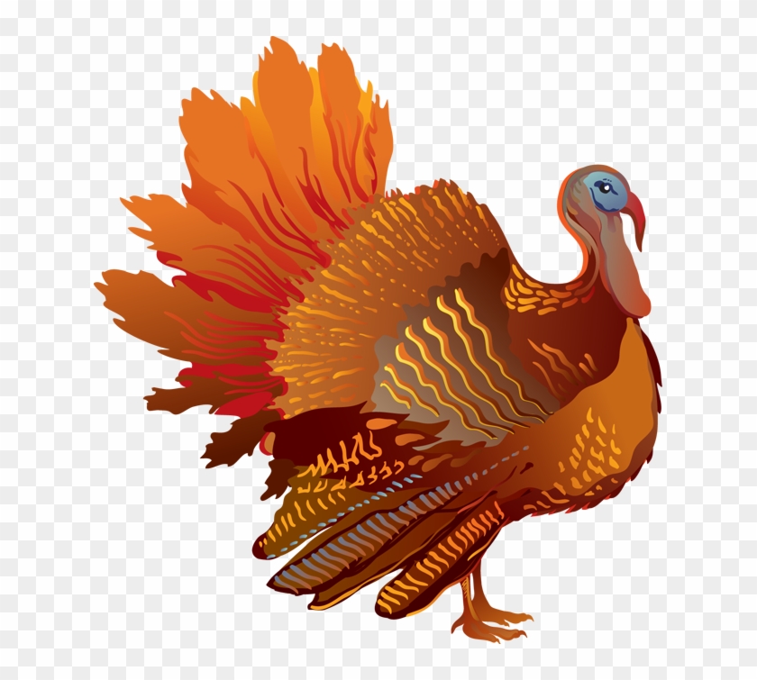 Turkey Clipart - Thanksgiving Turkey Transparent Background - Png Download #211365