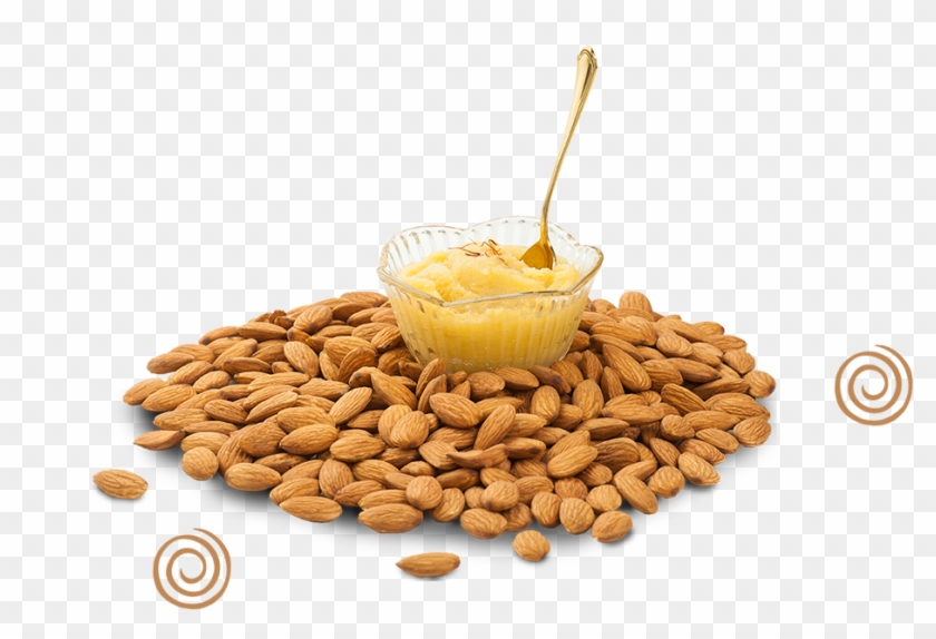 Badam Halwa - Seed Clipart