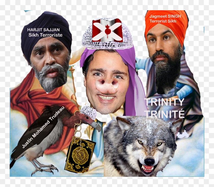 Tariq Ramadan Usurper, Manipulator - Gray Wolf Clipart #212064