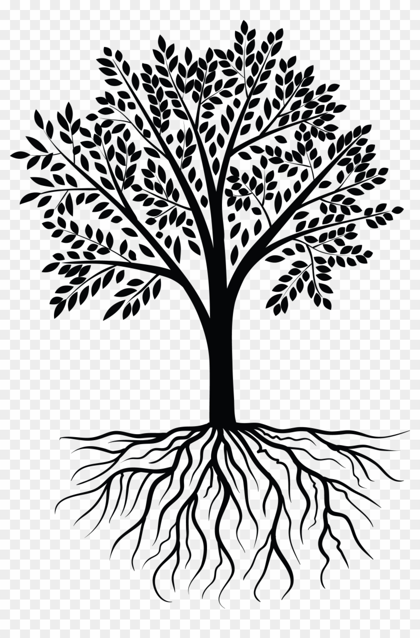 Tree Vector Black White - Tree Root Vector Png Clipart #212082
