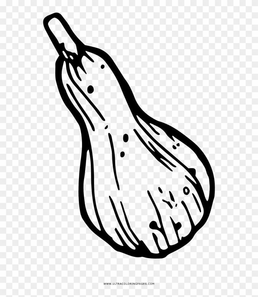 Gourd Coloring Page - Gourd Drawing Clipart