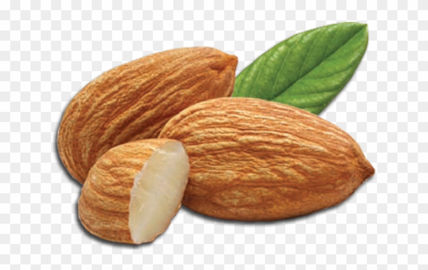 Almond Clipart Transparent - Almond Png Transparent #212247