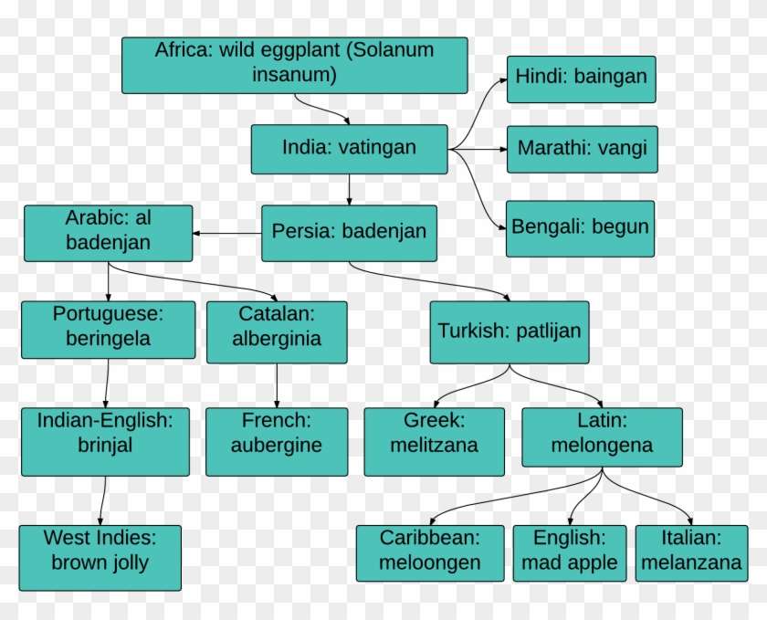 Eggplant Words - Other Names Of Brinjal Clipart #212591