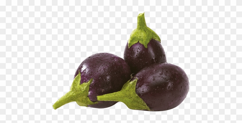Indian Eggplant - باذنجان اسود صغير Clipart #212750