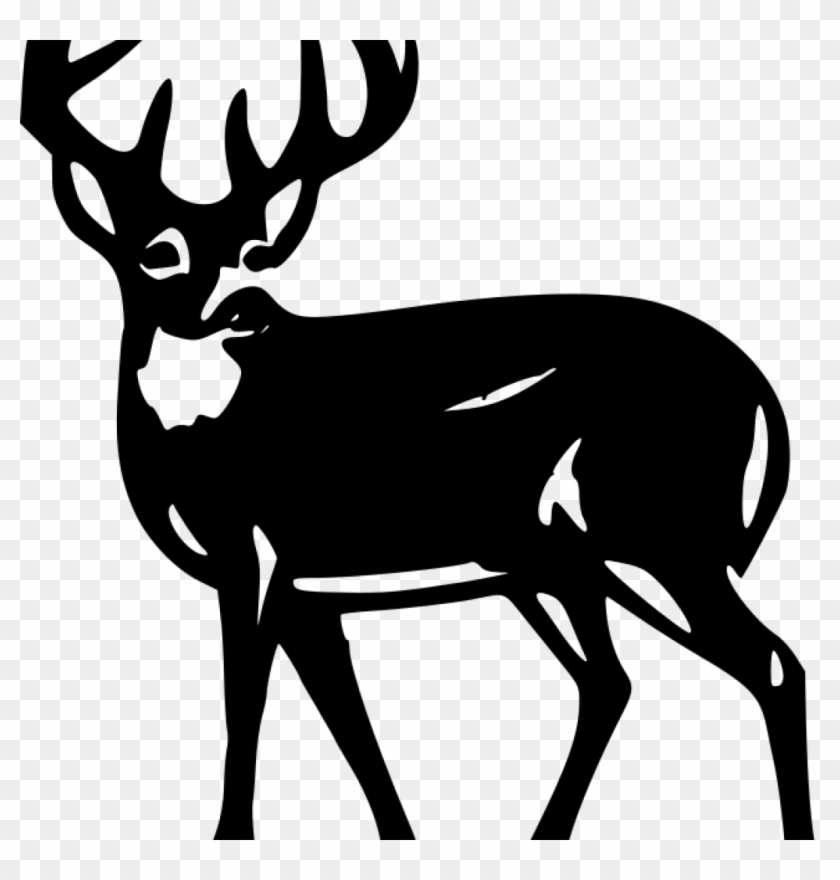 Deer Silhouette Clip Art White Deer Silhouette At Getdrawings - White Tailed Deer Clipart - Png Download