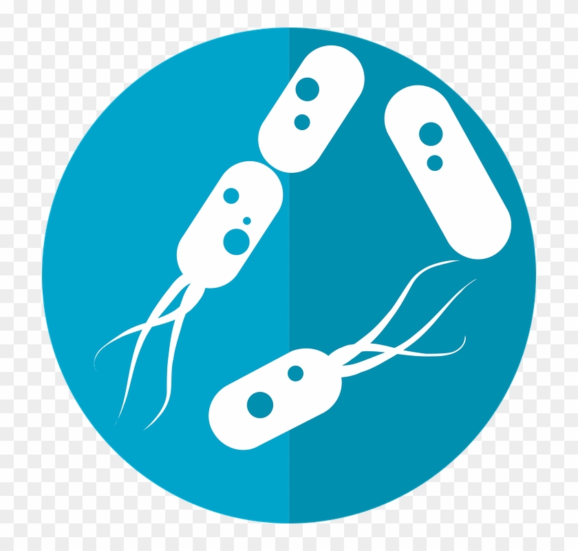 Bacteria Png Hd - Bakteri Png Clipart