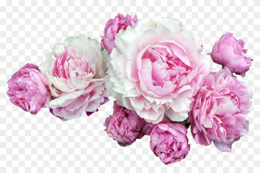 37 Images About 💀💀✌ On We Heart It - Peonies Png Clipart