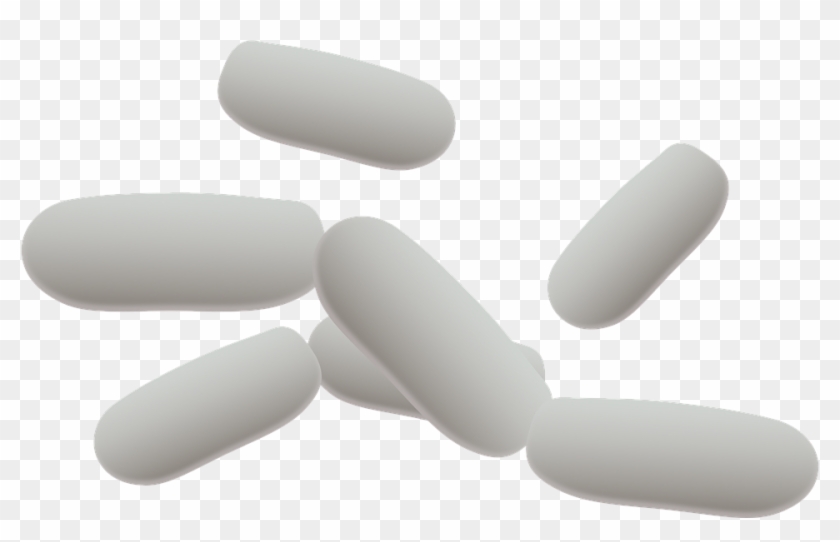 Bacteria Png Picture - Bacillus Clipart Transparent Png #214950