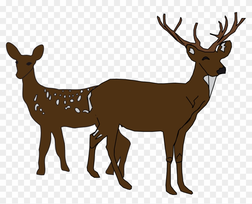 White Tailed Transprent Whitetailed - Deer Clip Art Black And White - Png Download
