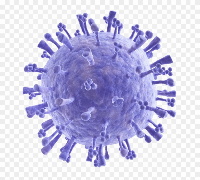 Bacteria Png Image - Immunology Powerpoint Template Free Clipart