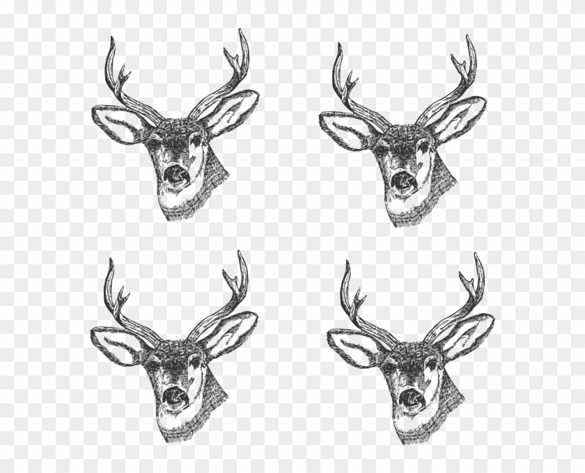 4 Deer Heads Clip Art At Clker - Buck Images Clip Art Head - Png Download