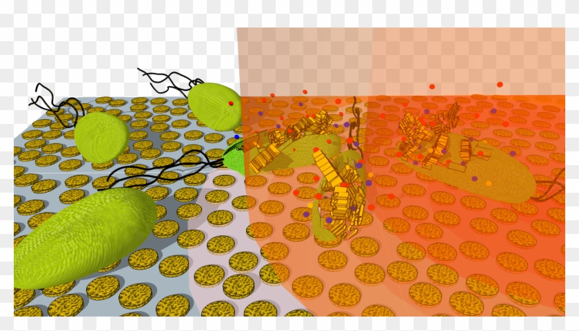 New Technique For Rapidly Killing Bacteria Using Tiny - Bacteria Clipart #216023