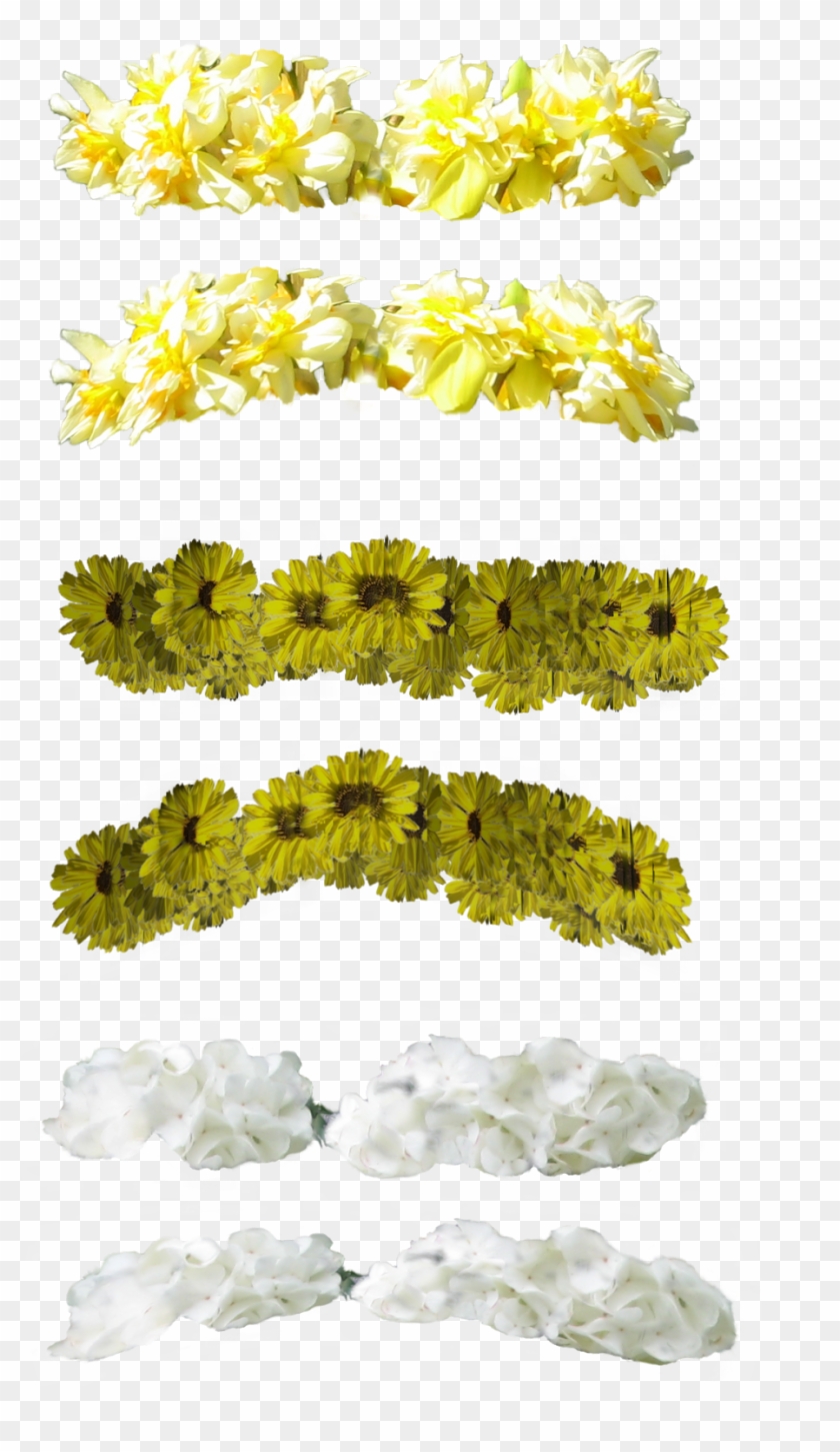 Transparent Flower Crown On Tumblr - Stock Image Flower Crown Clipart
