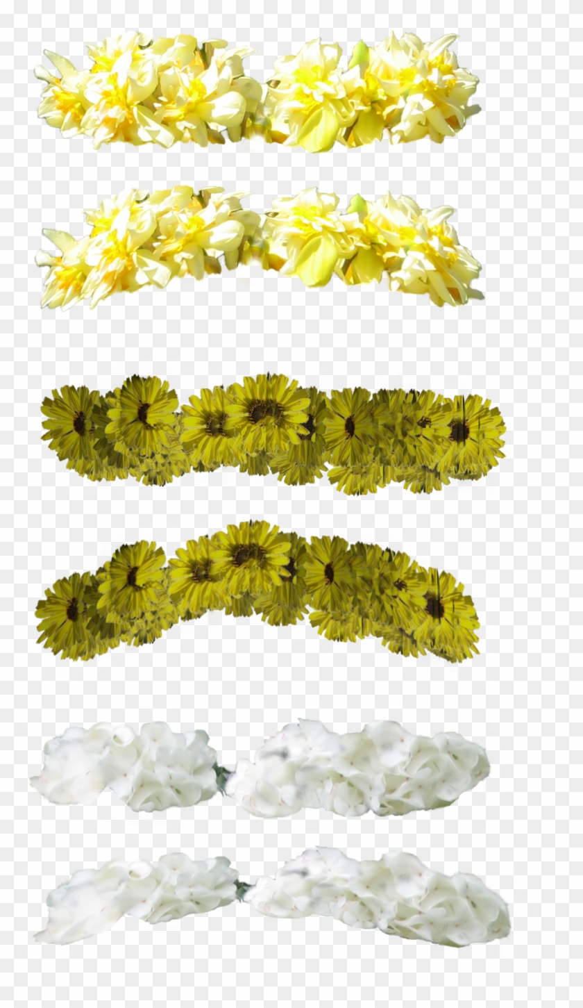 Transparent Flower Crown On Tumblr - Stock Image Flower Crown Clipart #216071