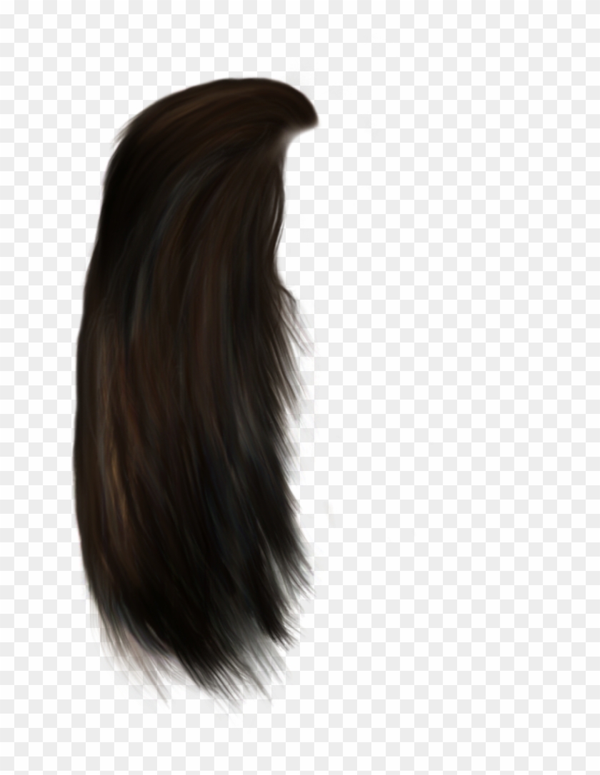 This Is Png Of Hair - Portable Network Graphics Clipart #216512
