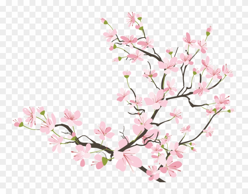 Cherry Blossom Clipart Transparent Tumblr - Japanese Cherry Blossom Transparent - Png Download