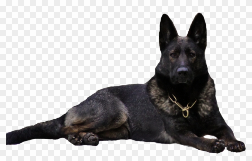 Black German Shepherd Png Clipart