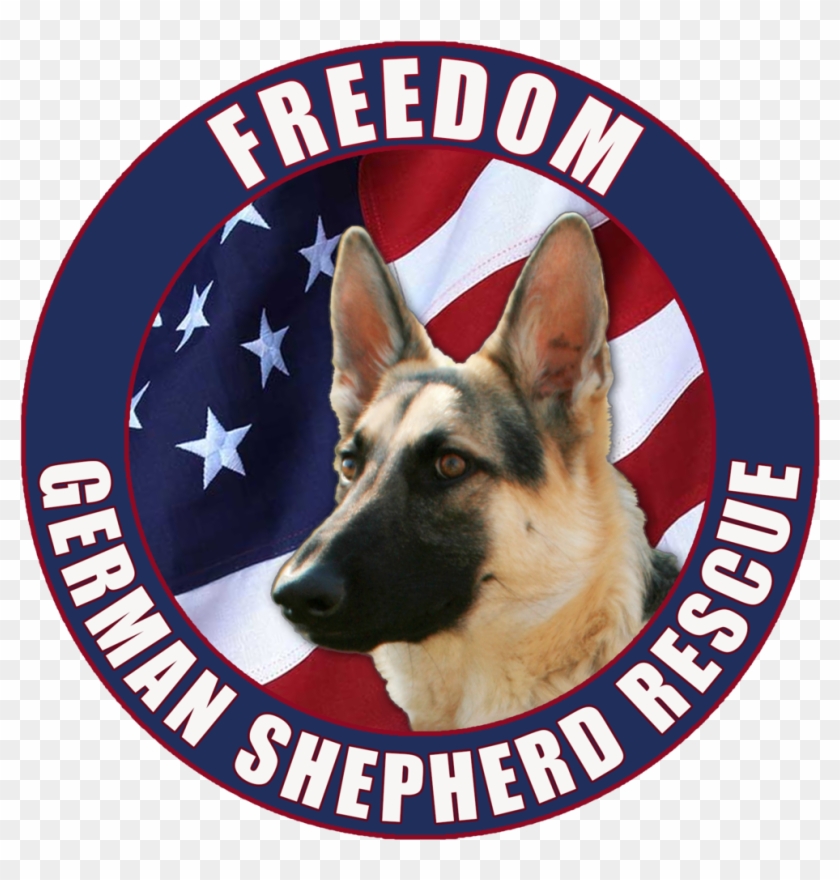 Fgsrlogo - Certified Health Education Specialist Clipart #216721