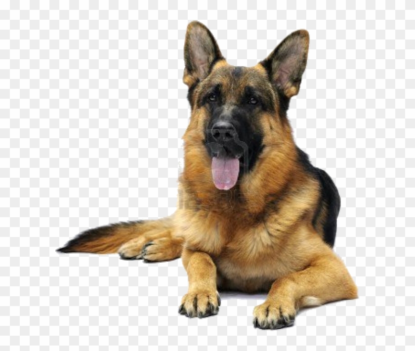 Image Dog, German, Deutsch, German Language - Cute Dog German Shepherd Clipart #216817