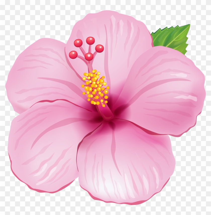 Pink Exotic Flower Png Clipart Picture - Flores Tropicais Png Desenho Transparent Png