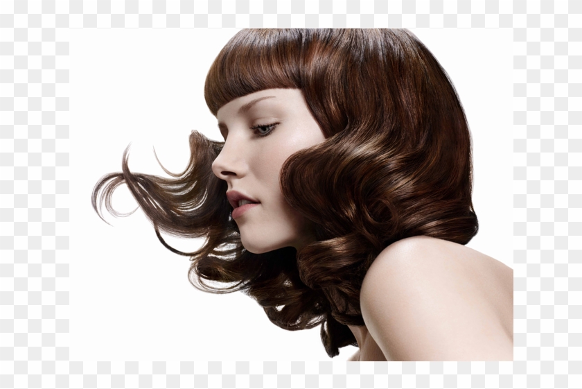 Hair Salon Png - Hair Salon Models 2014 Clipart #217169
