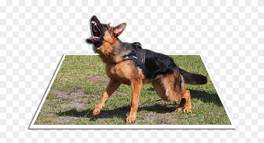 Shepherdhaus - Old German Shepherd Dog Clipart