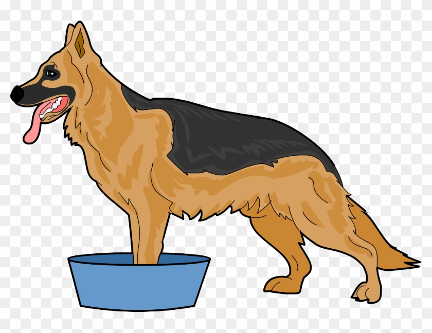 Fill Your Tub, Container Or Sink With Warm Water - Dog Catches Something Clipart #217734