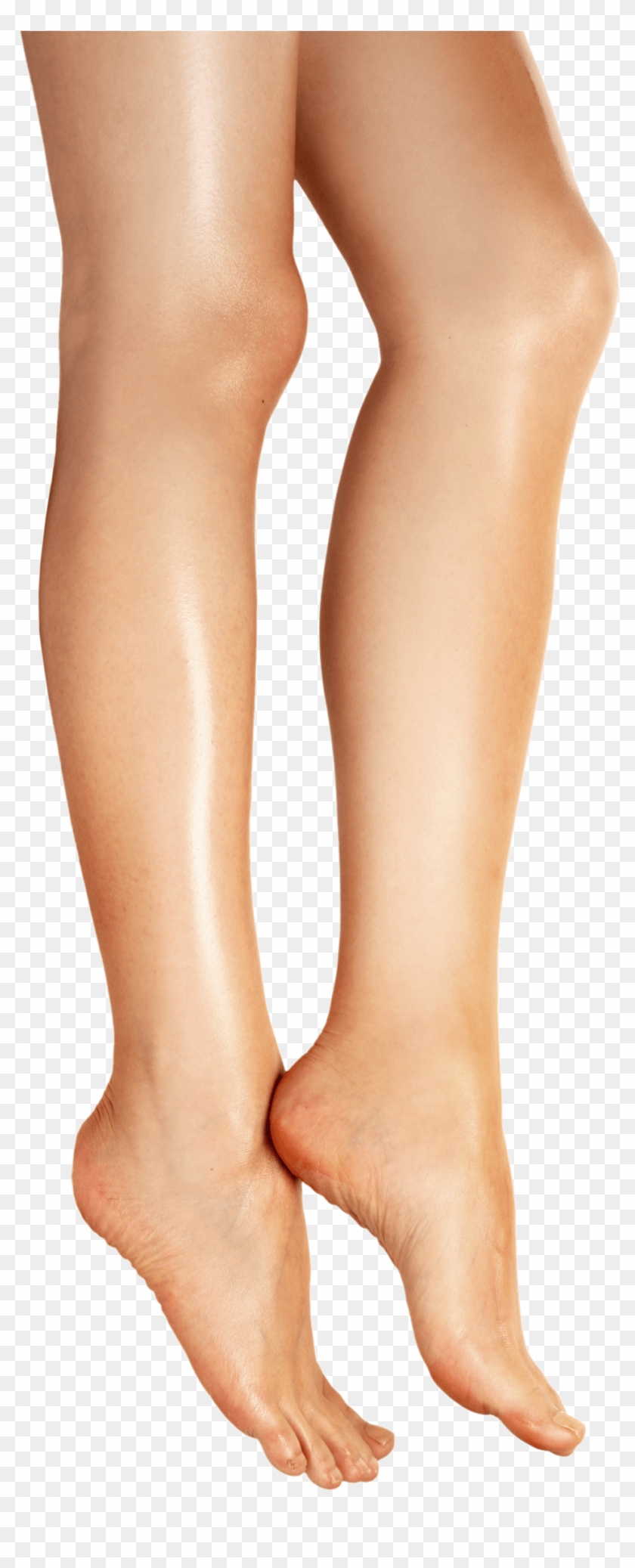 Legs - Png Leg - Women Legs Png Clipart #218331