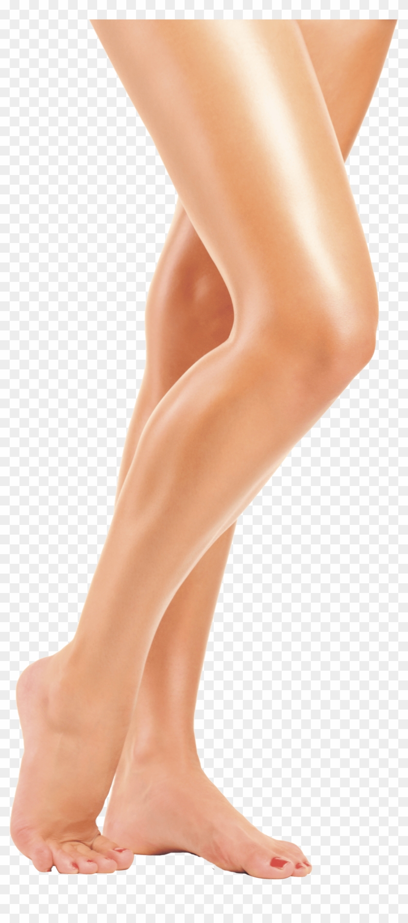 Legs Hd Png - Legs Png Clipart