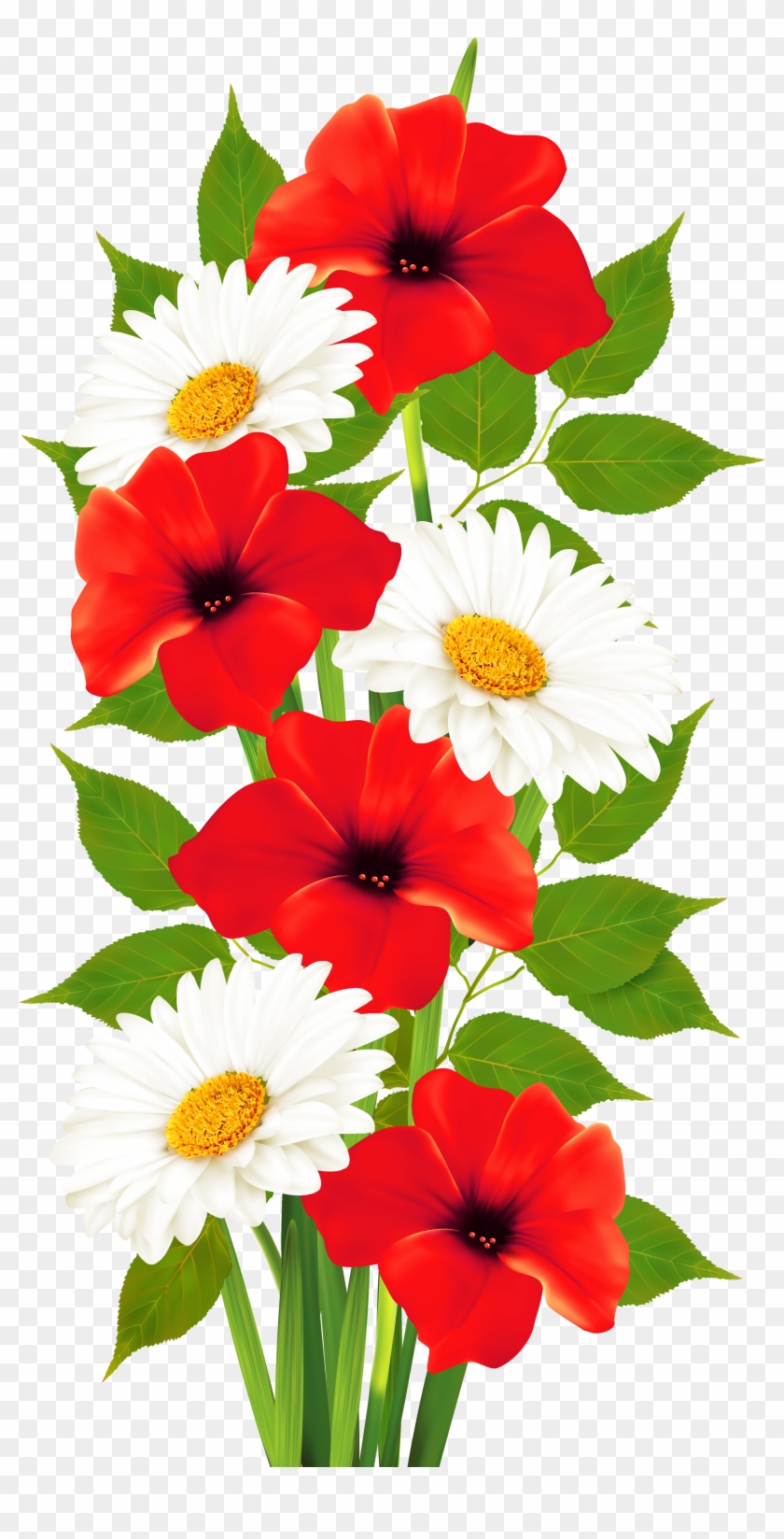 Png Flower Clipart Transpa Background Poppy Red Vine Transparent Png #219688