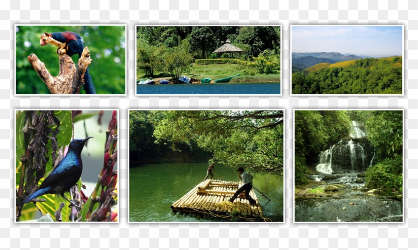 Gavi - Gavi Kerala Tourist Place Clipart